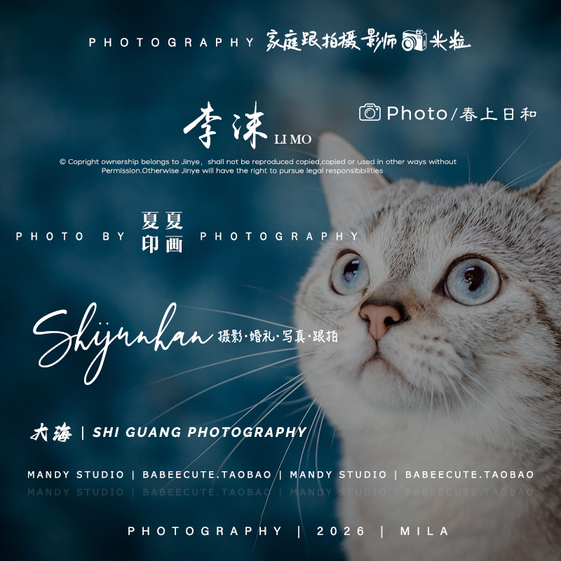 贵港南宁玉林来宾市结婚礼跟拍摄影师录像新娘跟妆化妆师司仪主持：如何打造完美婚礼回忆录？