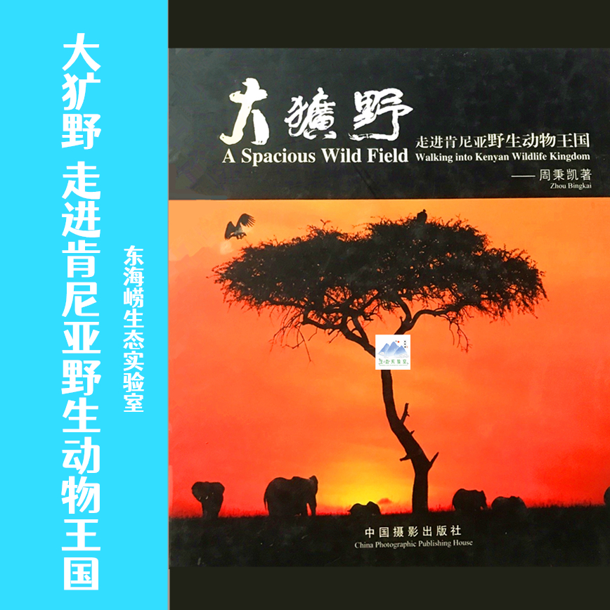 非洲肯尼亚觅兽之旅：安博塞利国家公园，遇见动物大迁徙的奇迹！