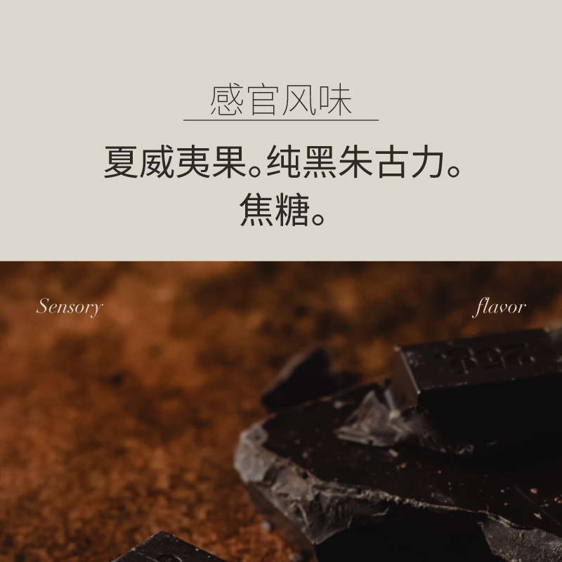 Compak I3 Touch/Pro：意式咖啡豆磨豆机全研磨，解锁专业级咖啡体验！