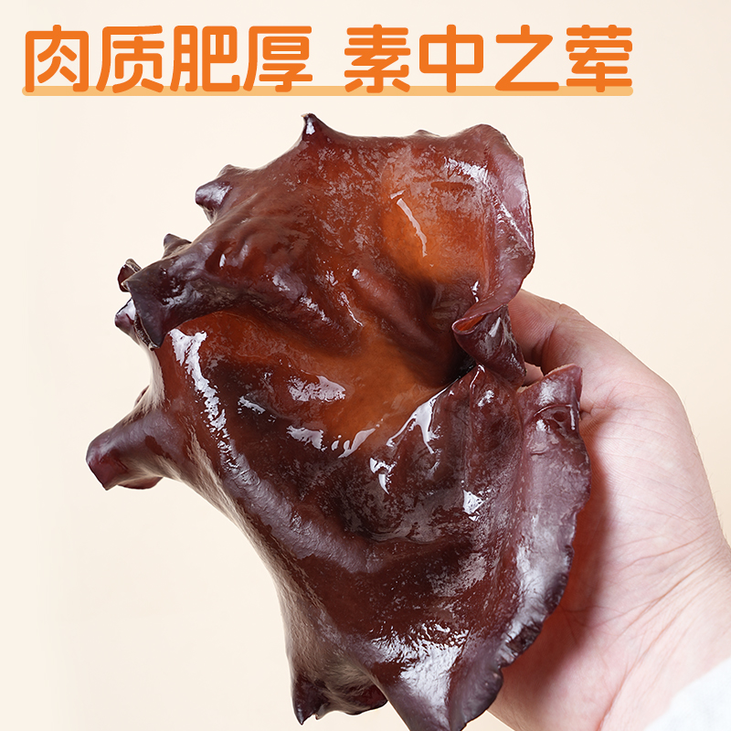 四川火锅必备！毛木耳干货500g散装脆木耳白背黑木耳天然美味大地耳