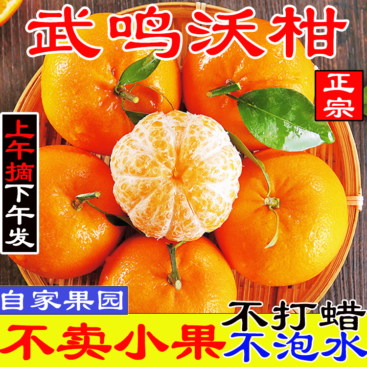荔枝网直播珠江台今日关注节目怎么看？快收藏方法！