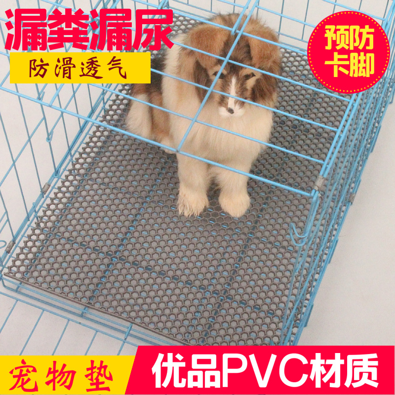 狗哥蜗牛垫：增高神器，让美丽与舒适并存的秘密武器！