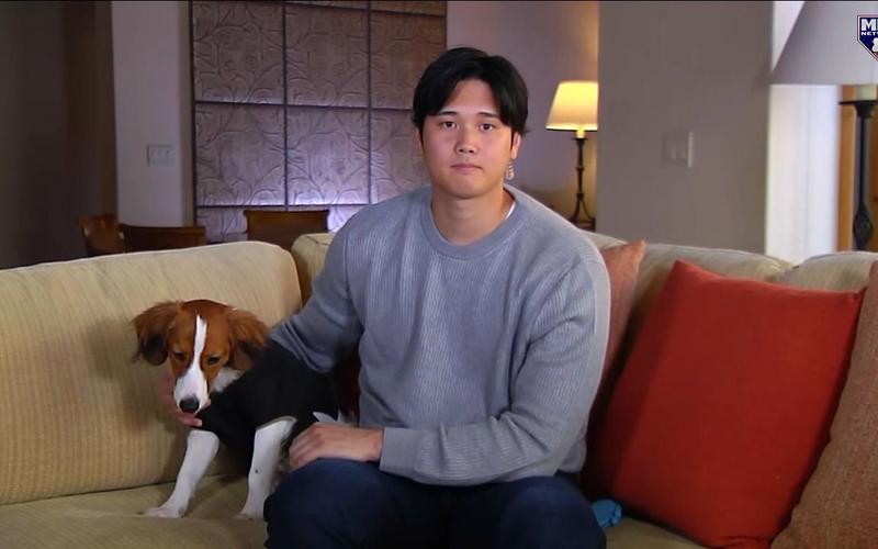 shohei ohtani ops,Shohei Ohtani: A Multi-Dimensional Master in the MLB