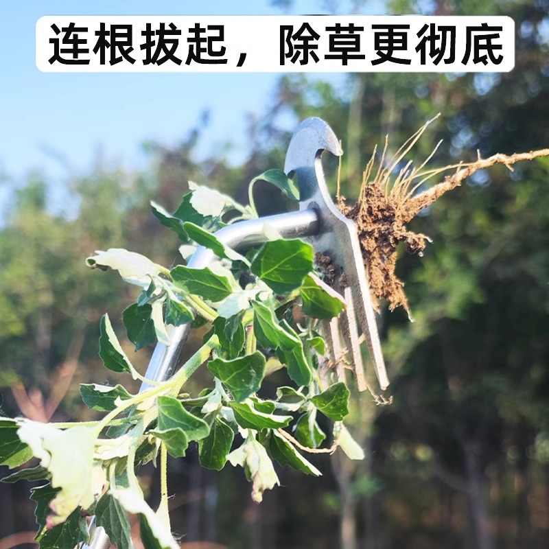 【今日特卖】锄草神器，轻松搞定花园杂草，让园艺变成享受！