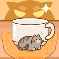 小猫小猫