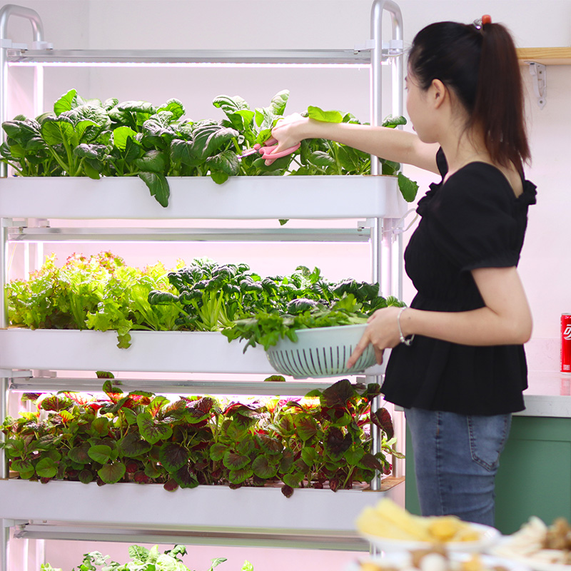 智能穿戴式设备是什么东西？揭秘未来科技的“第二层皮肤”！