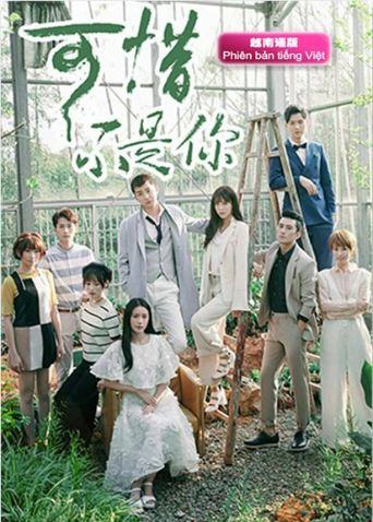 可惜不是你 越南版语版