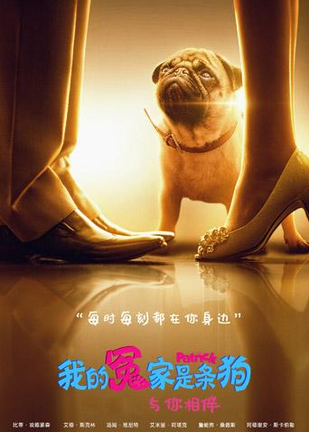 我的冤家是条狗