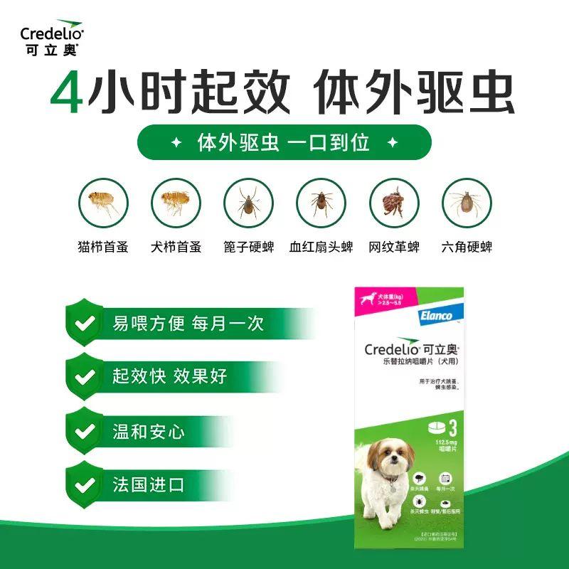 拜耳可立奥：宠物驱虫界的“超级英雄”，守护毛孩子免受跳蚤蜱虫侵扰！