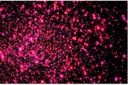 Space Dust 3D Screensaver1.21