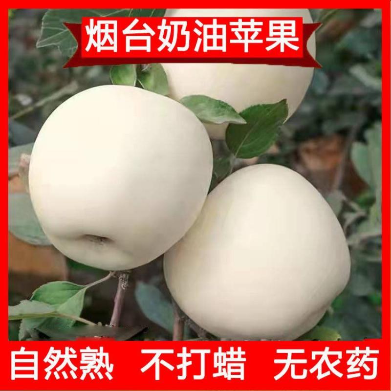 5G黄金和5个9黄金有什么区别？一文读懂真相！