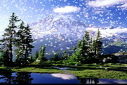 Mountain Rainier Snow3.0