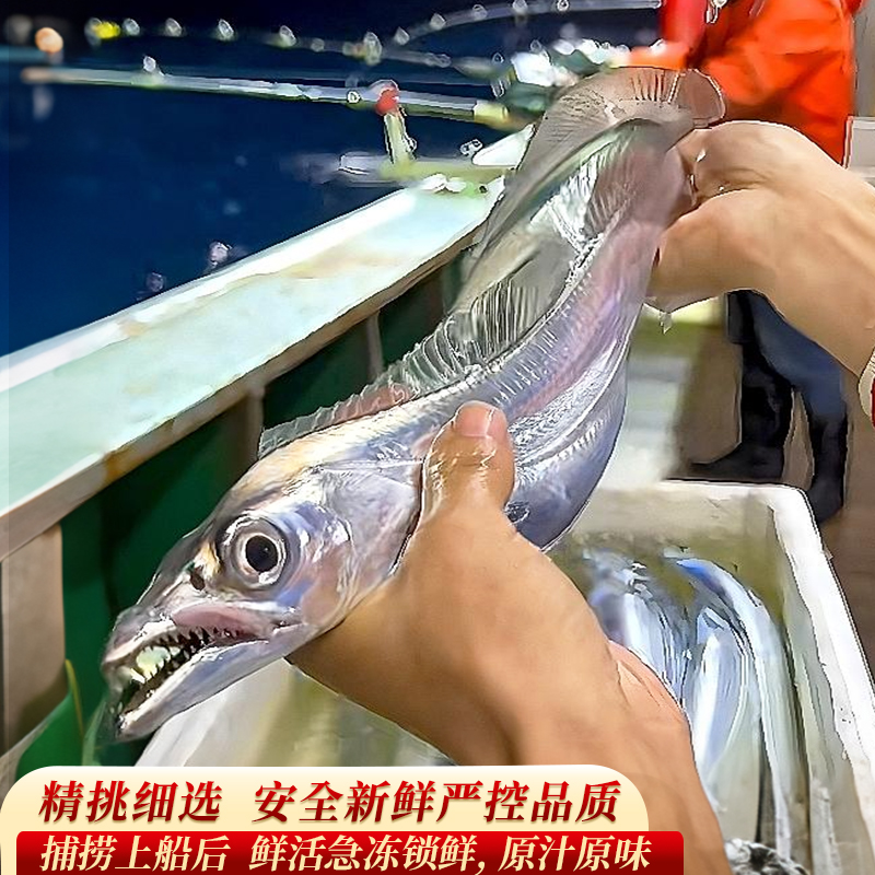 舟山带鱼新鲜冷冻刀鱼中段大号东海小眼深海油带鱼无冰顺丰包邮：如何挑选与保存？