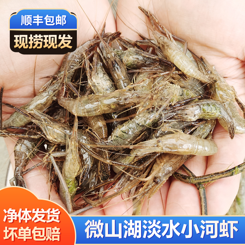 鲜活充氧河虾：如何挑选与烹饪？88-128只/份，解锁美味秘诀！