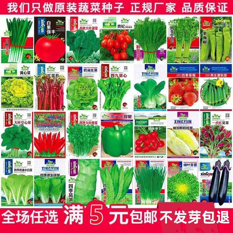 探探免费版本大全：不花钱也能撩到心动对象？