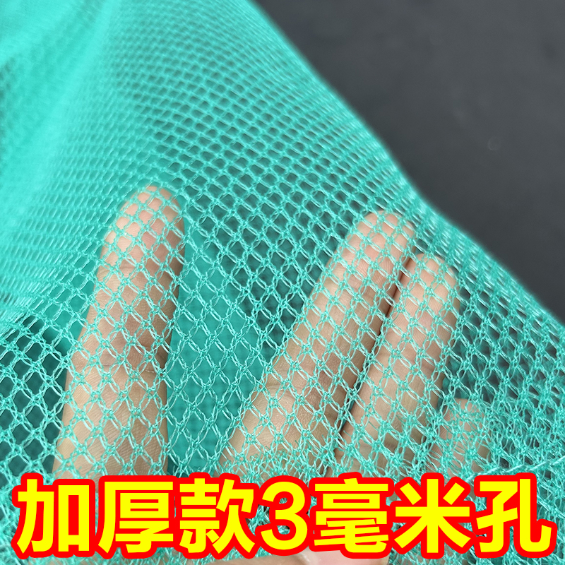 小鱼恋小虾：一场水下世界的浪漫奇遇记！