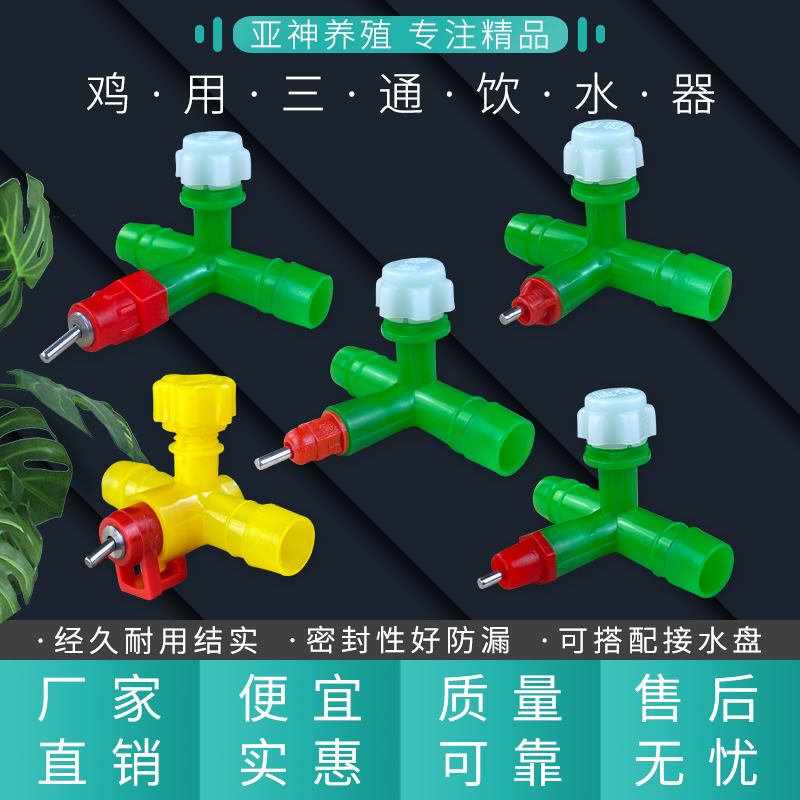 鸡用自动饮水器：博棍式钢球的秘密，大红头乳头式饮水器的革命！