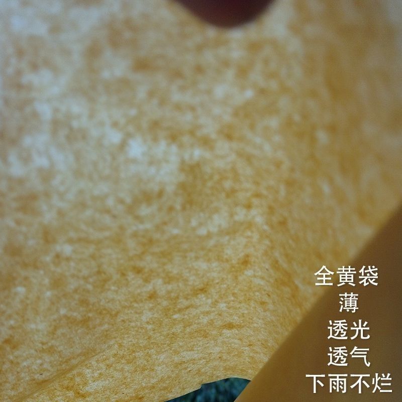 百草味黄桃不干200g：夏日解馋神器，一口酸甜停不下来！