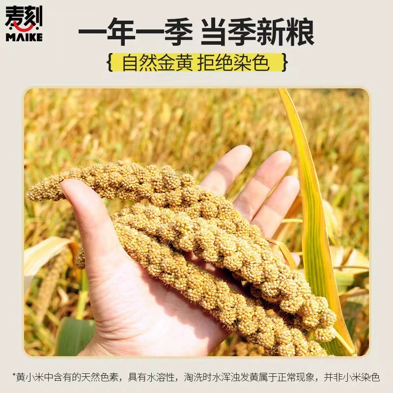 小米15配置参数有哪些？全面解析性能亮点
