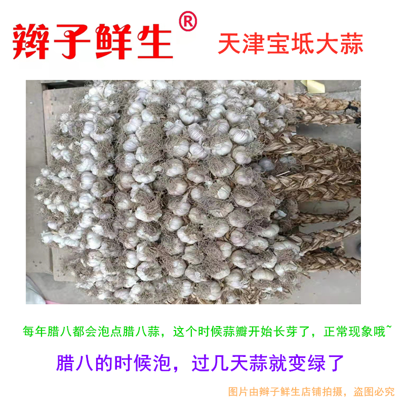 宝坻大蒜：四六瓣与六瓣红，解锁地道天津味！️