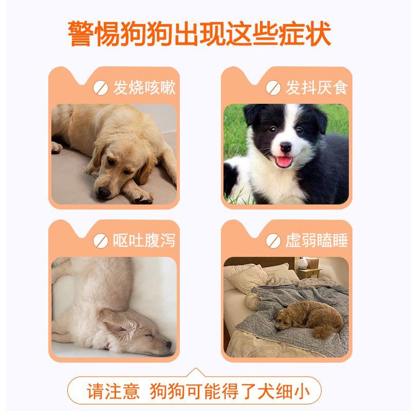 狗狗发烧拉稀？元亨犬细小病毒单克隆抗体注射液真香预警！救命神器来了