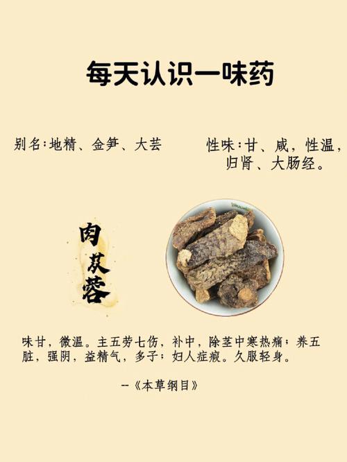 草苁蓉价格,市场行情与影响因素