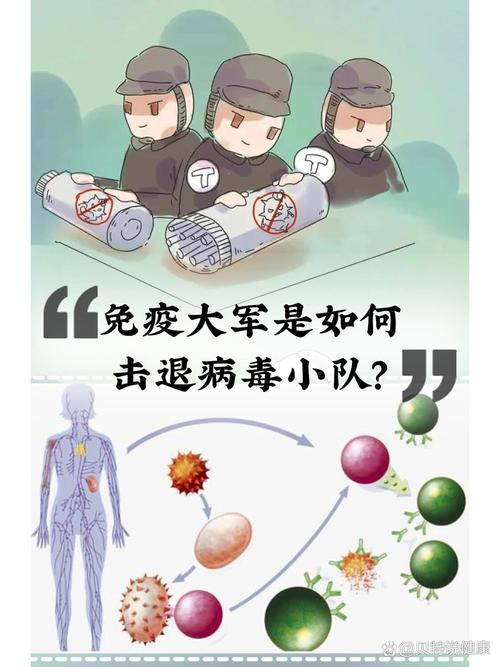 反击病毒,人体免疫细胞如何反击病毒？揭秘免疫系统与病毒的战斗