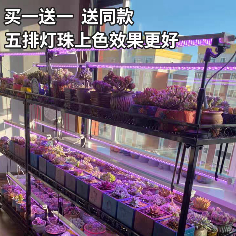 红外光谱绝绝子，有机物无机物都能测！家人们快收藏！