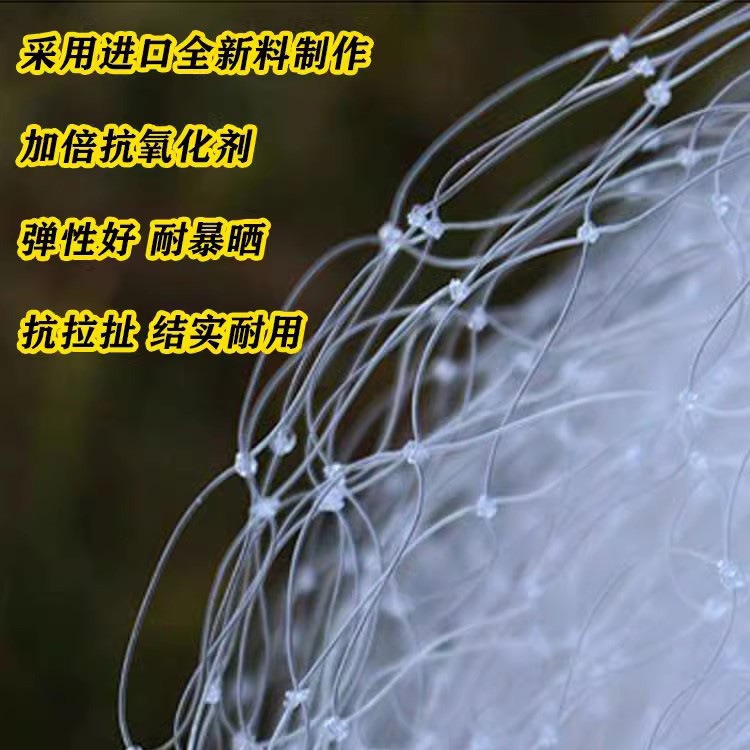 防鸟网大揭秘：守护你的葡萄樱桃果园，让鸟儿望而却步！