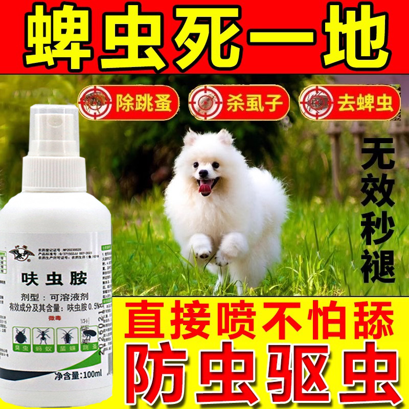 宠物医生亲授：让毛孩子陪你更久的秘诀