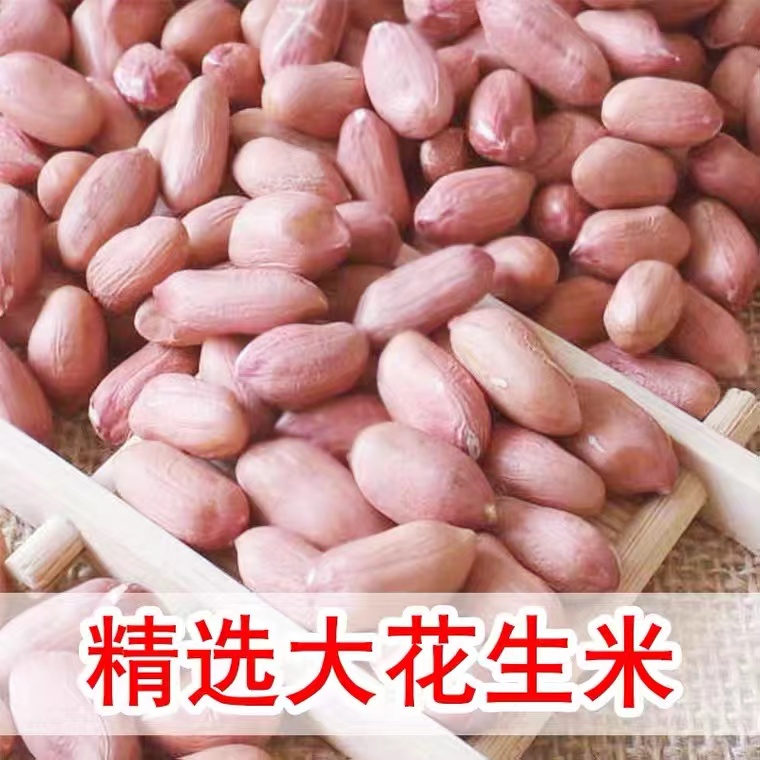 24年白皮生花生米：新鲜饱满，农家大颗粒，榨油包必备好物！