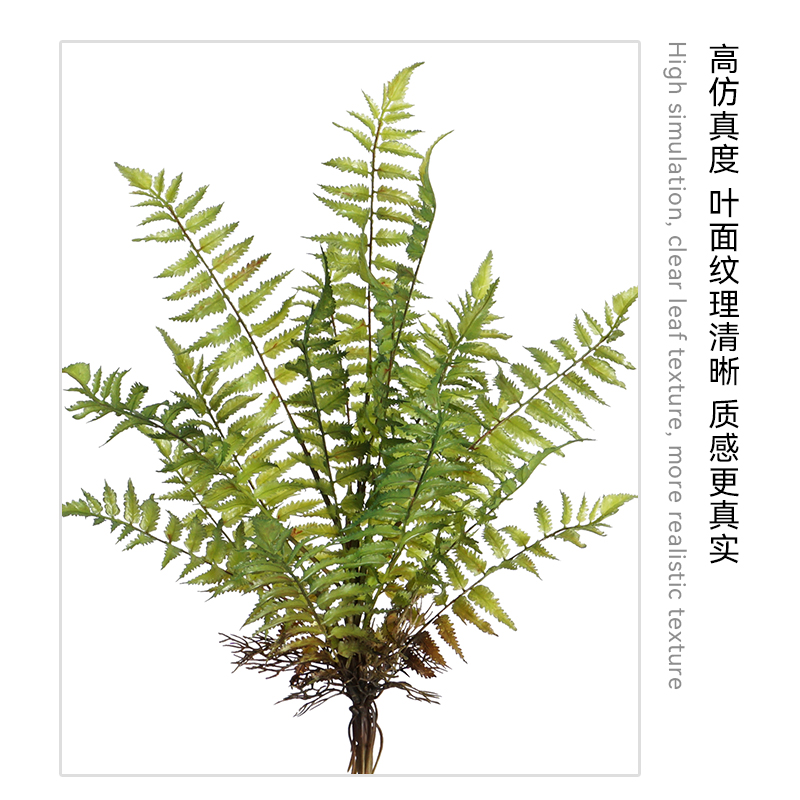 绿植禅意插花：客厅里的自然艺术，打造静谧雅致空间
