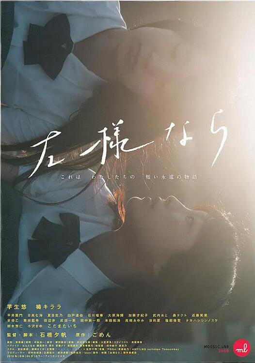 非裔美国人的根源