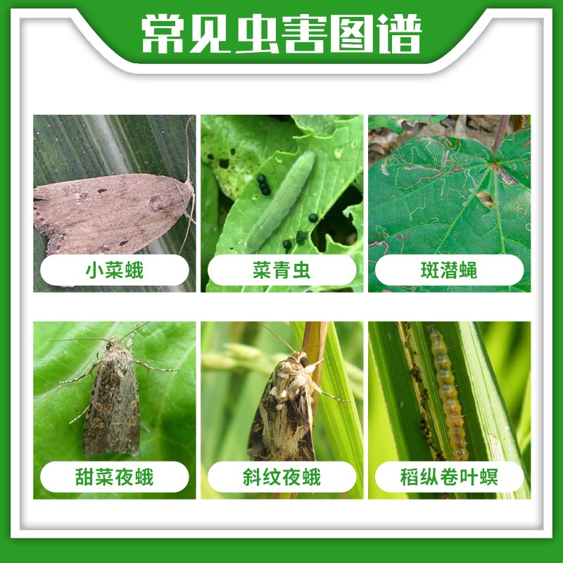 360/升虫螨腈高含量杀虫剂：守护甘蓝蔬菜和果树的绿色卫士！