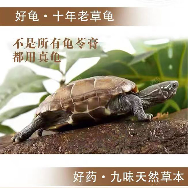 龟朴堂龟苓膏：吸管一戳，清凉解暑神器！✨