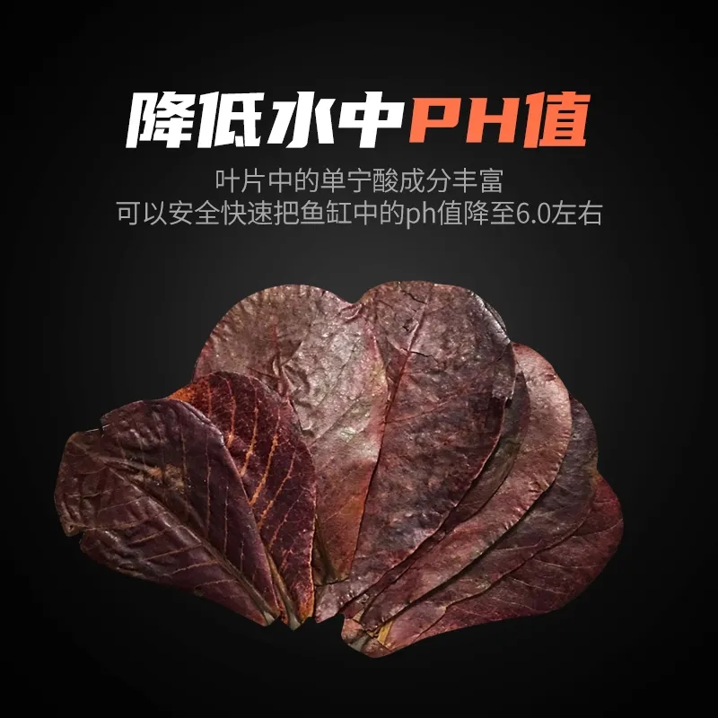 榄仁叶懒人叶：水族斗鱼热带鱼净水降酸PH软水稳定改善水质神器！