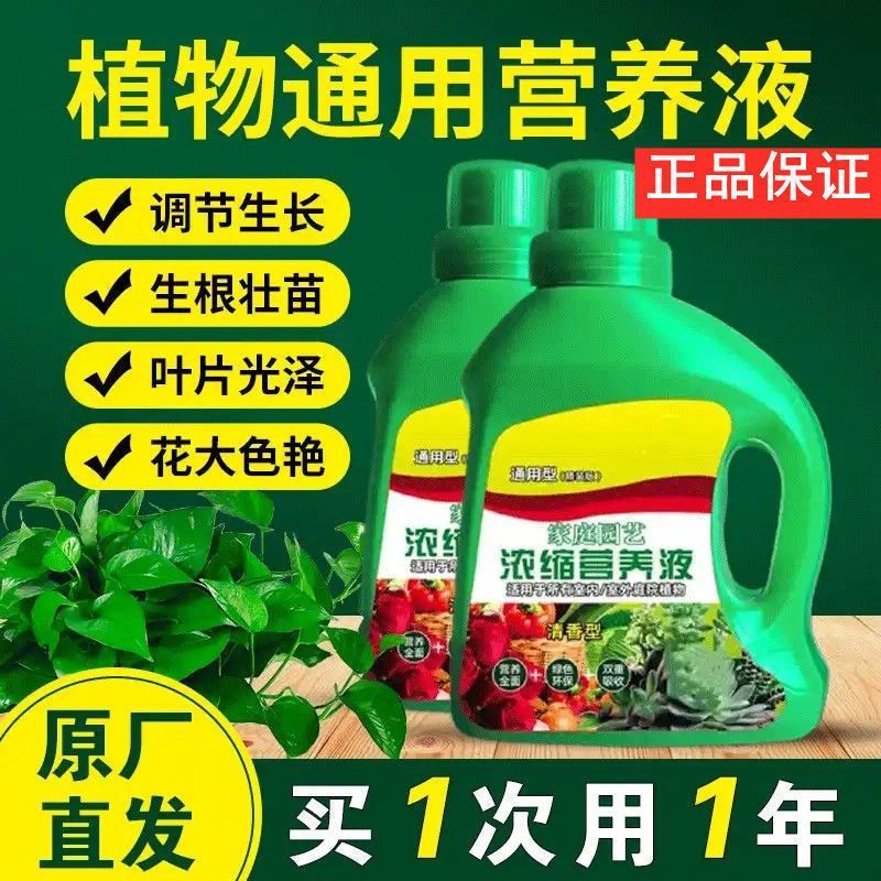4天3晚江苏深度游：南京、苏州、杭州精华景点全攻略️