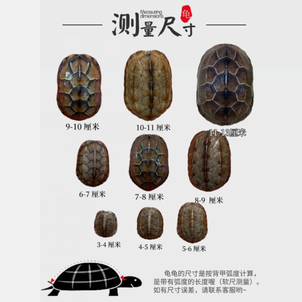 三水同源润中华——走进神秘的三江源国家公园️
