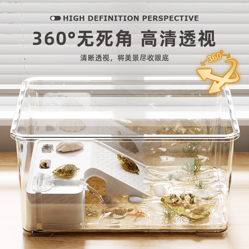 寄居蟹新手养殖盒套装：豆丁款VS大号观赏蟹，谁才是你的理想选择？