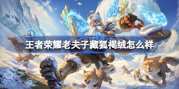 王者荣耀老夫子藏狐褐绒怎么样 王者荣耀老夫子藏狐褐绒皮肤特效一览