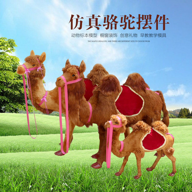 大型仿真皮毛动物标本工艺品骆驼模型：商场景点活动体验教学道具新趋势！