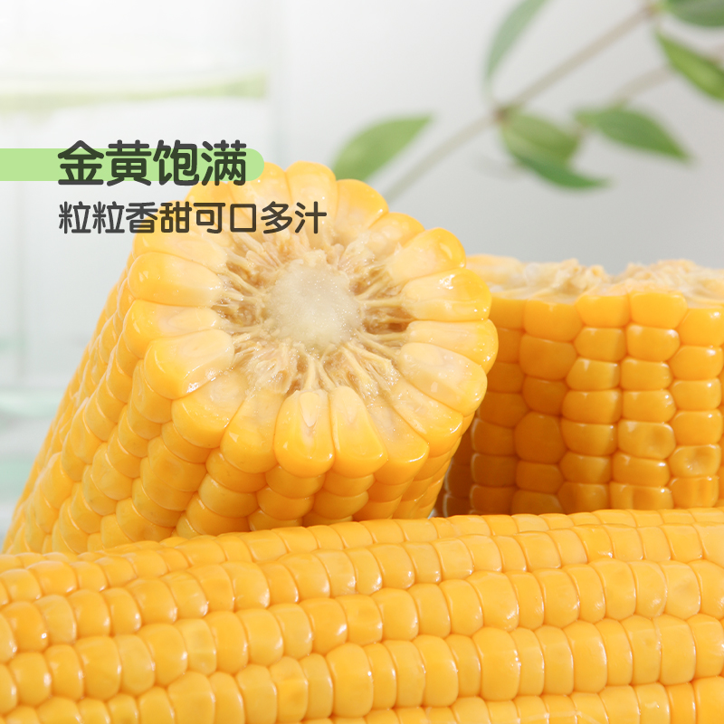 即食棒师傅水果玉米：早餐新宠，随时随地享美味