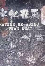 宁化飞灰封面图