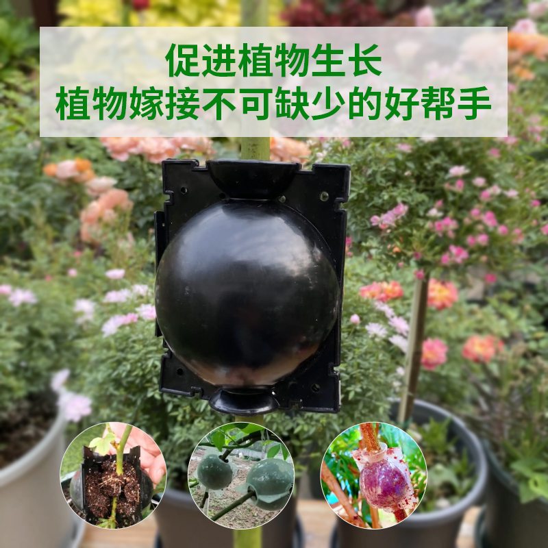 植物高压繁殖盒控根器：扦插嫁接新神器，生根繁殖不再是难题！