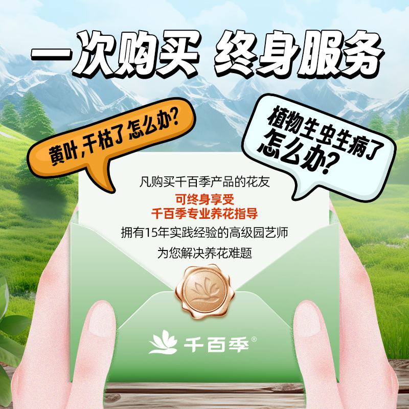 千百季旗舰店小白药：呋虫胺升级版，杀虫新利器，守护你的绿色家园！