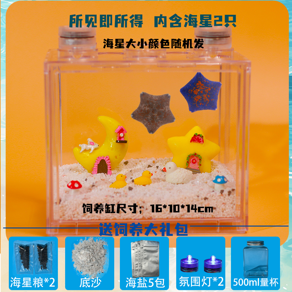 海星饲养套餐：桌面宠物新潮流，解压神器来袭！
