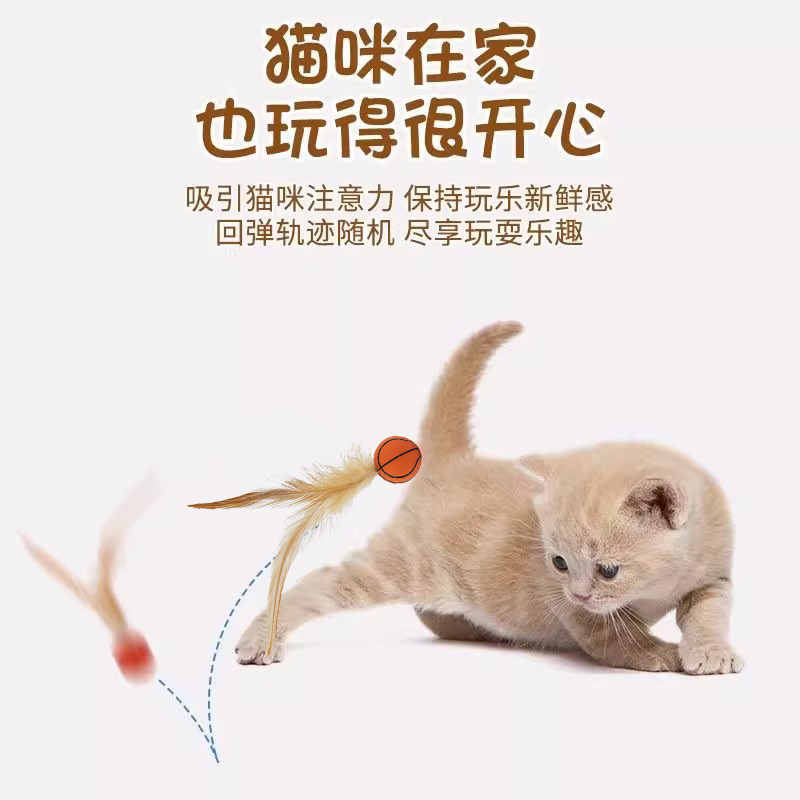 网购兔子健康检查方法：新手必看！别让“毛球”毁了你的萌宠