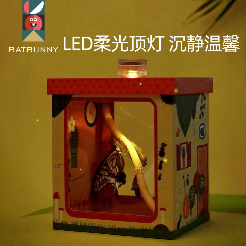 活体蝴蝶蛹认主宠物？揭秘儿童学生最爱的科普观察神器！
