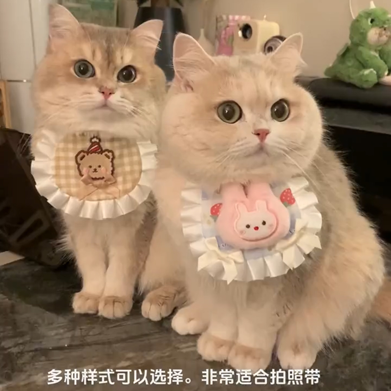 兔子个性口水巾 &amp; 侏儒兔围兜：宠物兔拍照必备，颜值提升神器！