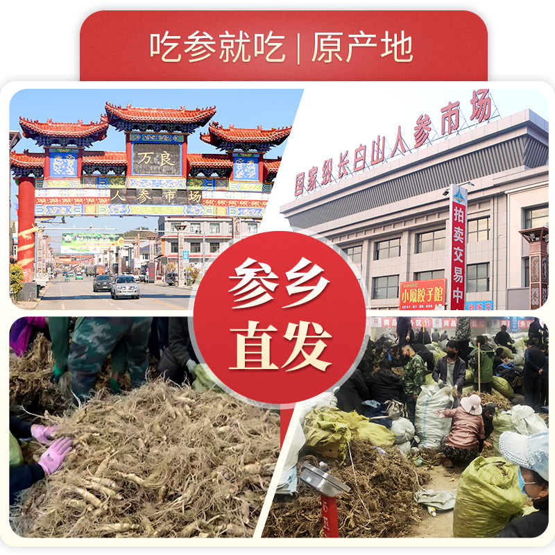 西洋参段长白山正品中药材，泡水养生新风尚